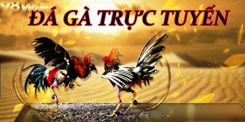 Đá Gà Trực Tuyến - Cơ Hội Hốt Bạc Có Một Không Hai